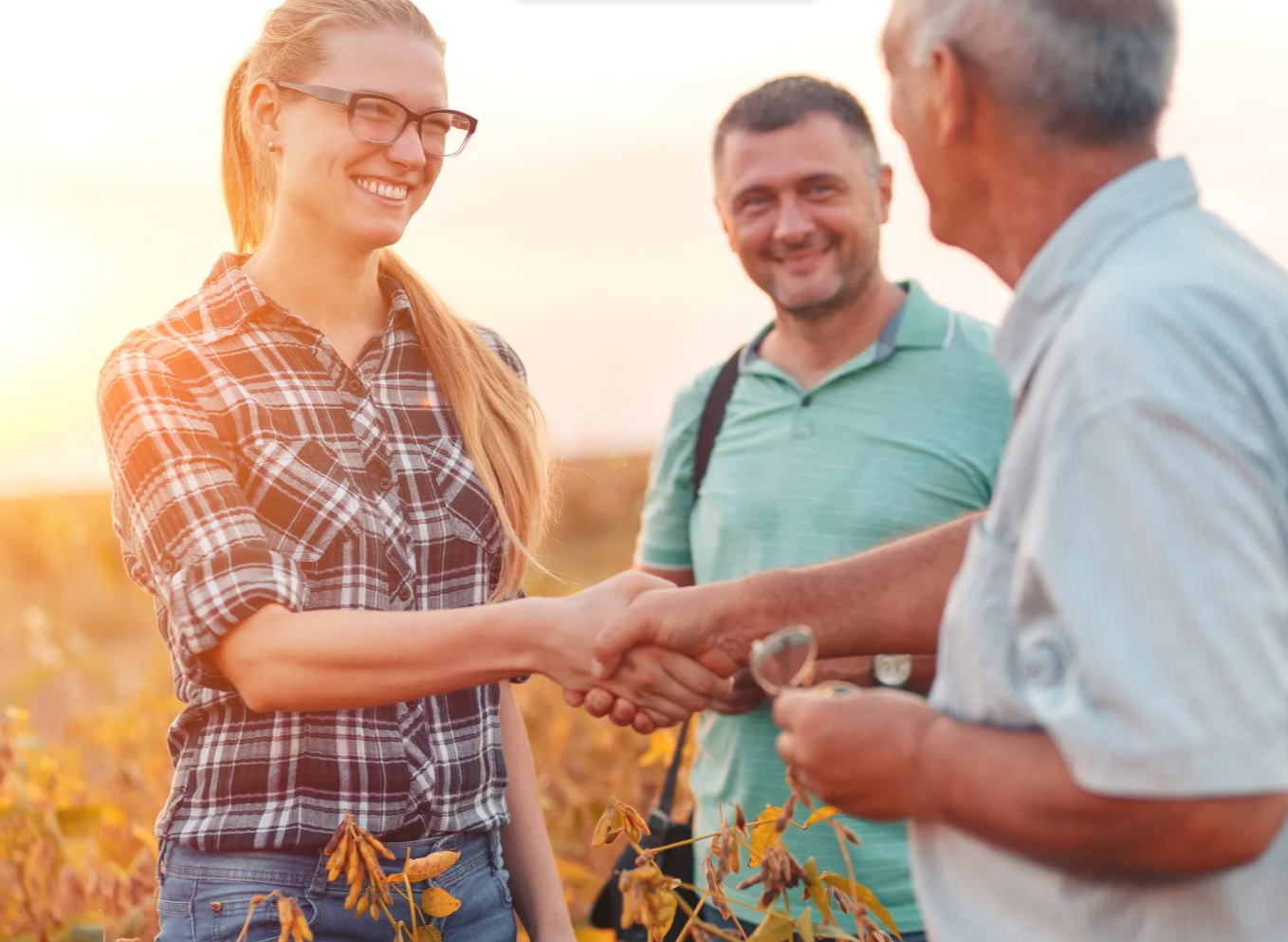 AgriTrade Website - Farmers