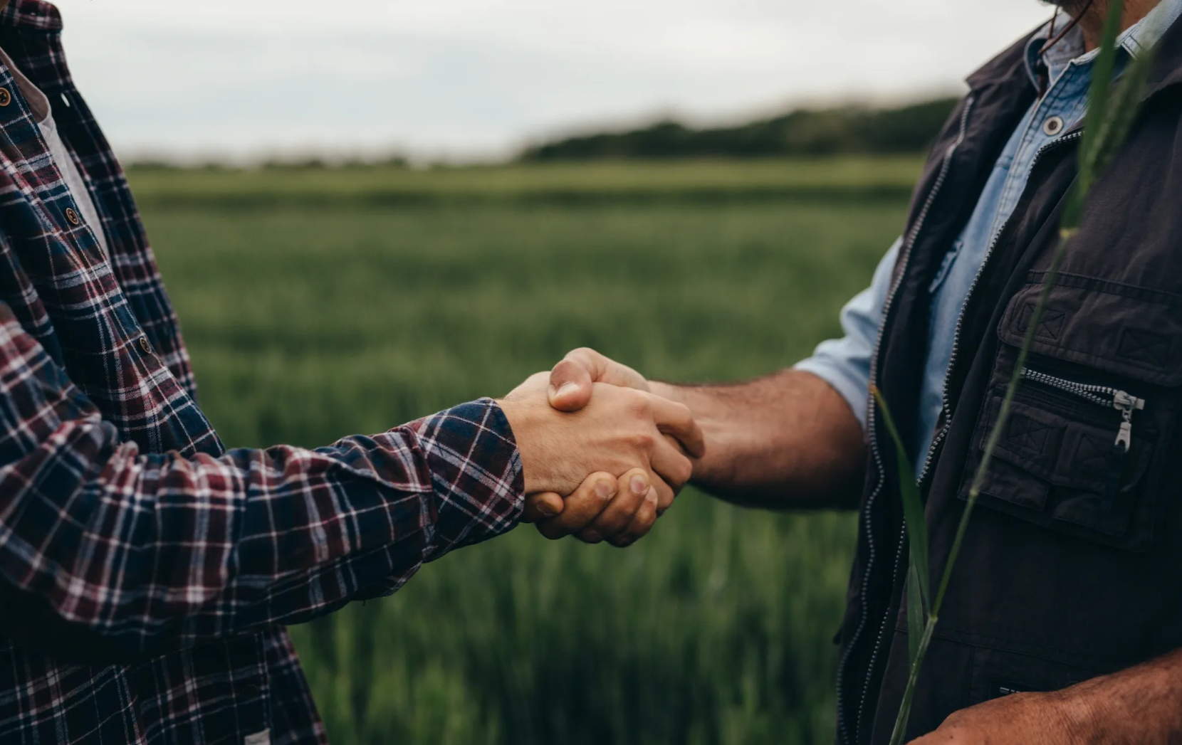 AgriTrade Website - Hand shake